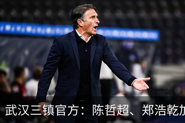 武汉三镇官方：陈哲超、郑浩乾加盟球队
